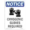 Signmission OSHA Sign, Cryogenic Gloves Required With Symbol, 10in X 7in Rigid Plastic, 7" W, 10" H, Portrait OS-NS-P-710-V-10858 - alternate 1